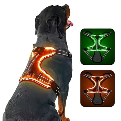 LED-Hondenharnass – Zichtbare hond in het donker