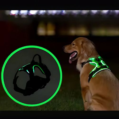 LED-Hondenharnass – Zichtbare hond in het donker