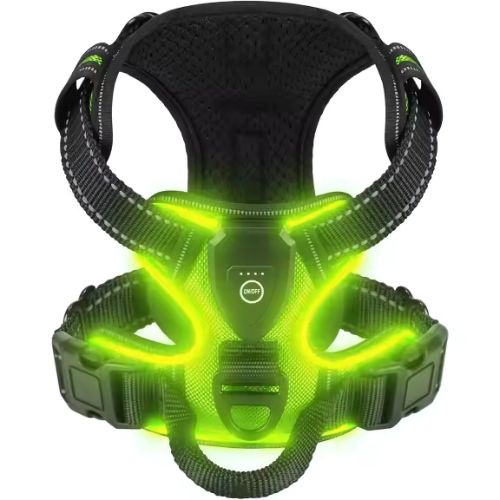 LED-Hondenharnass – Zichtbare hond in het donker
