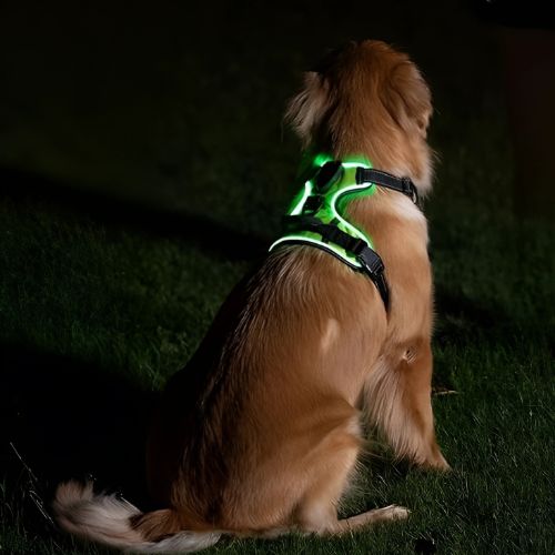 LED-Hondenharnass – Zichtbare hond in het donker