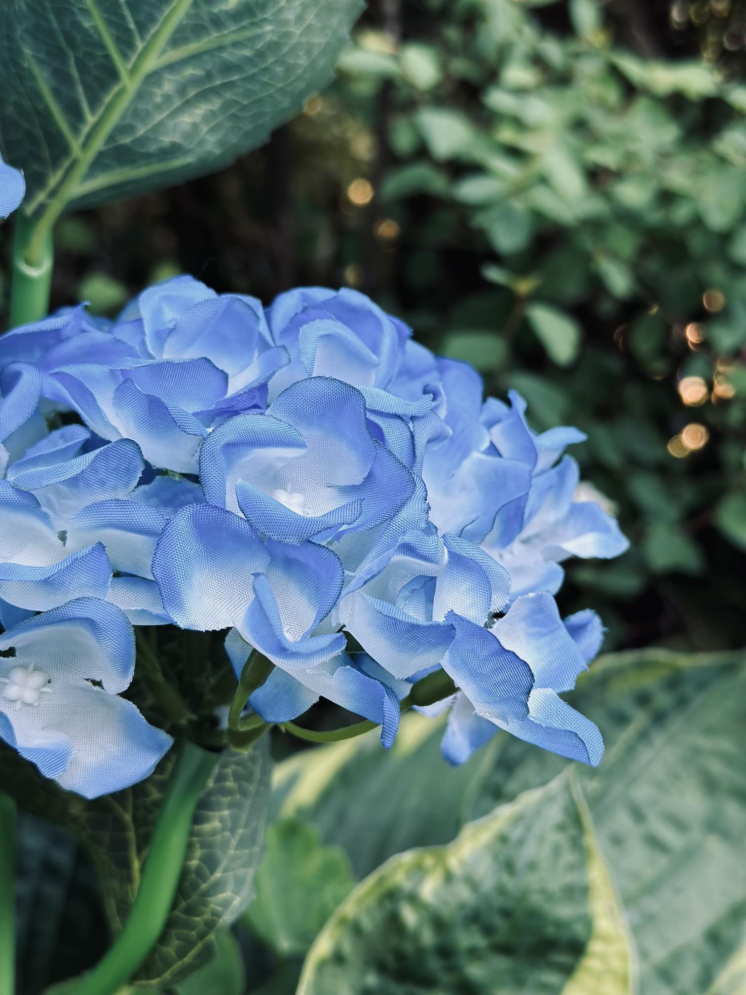 Solar Tuinbloem Hortensia – LED Licht voor buiten