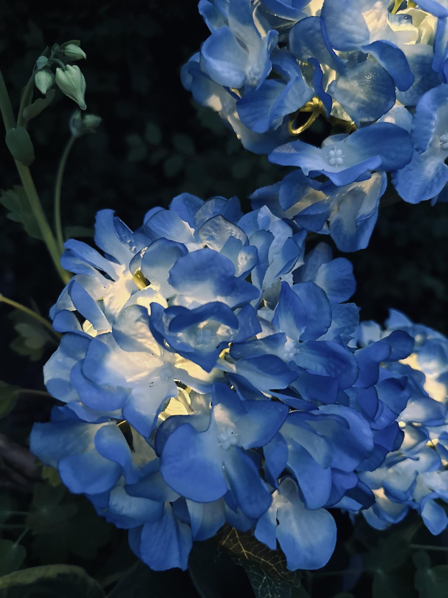 Solar Tuinbloem Hortensia – LED Licht voor buiten