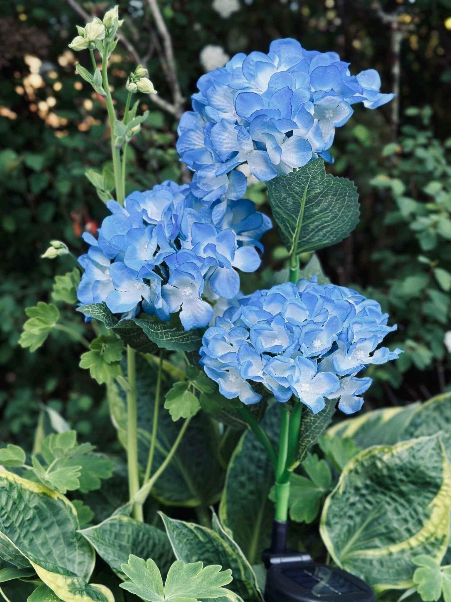 Solar Tuinbloem Hortensia – LED Licht voor buiten