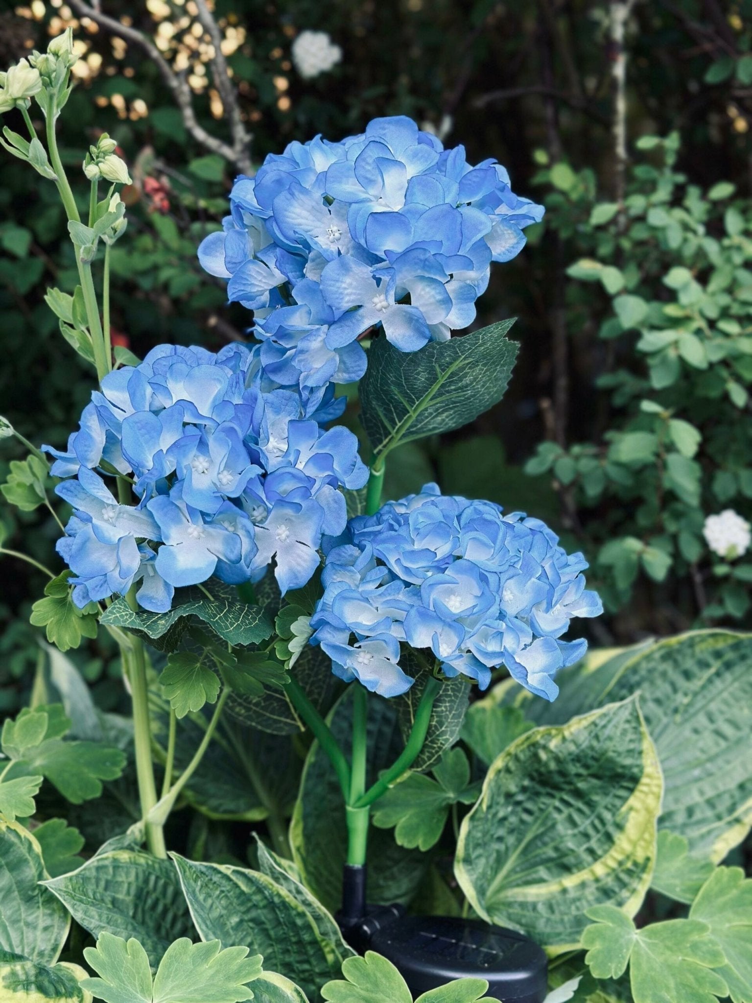 Solar Tuinbloem Hortensia – LED Licht voor buiten
