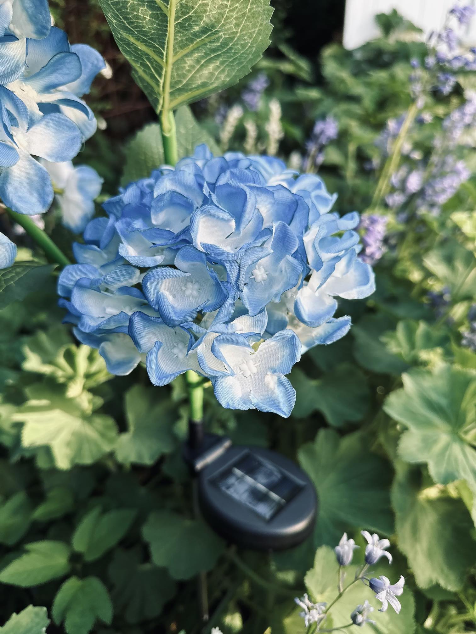 Solar Tuinbloem Hortensia – LED Licht voor buiten