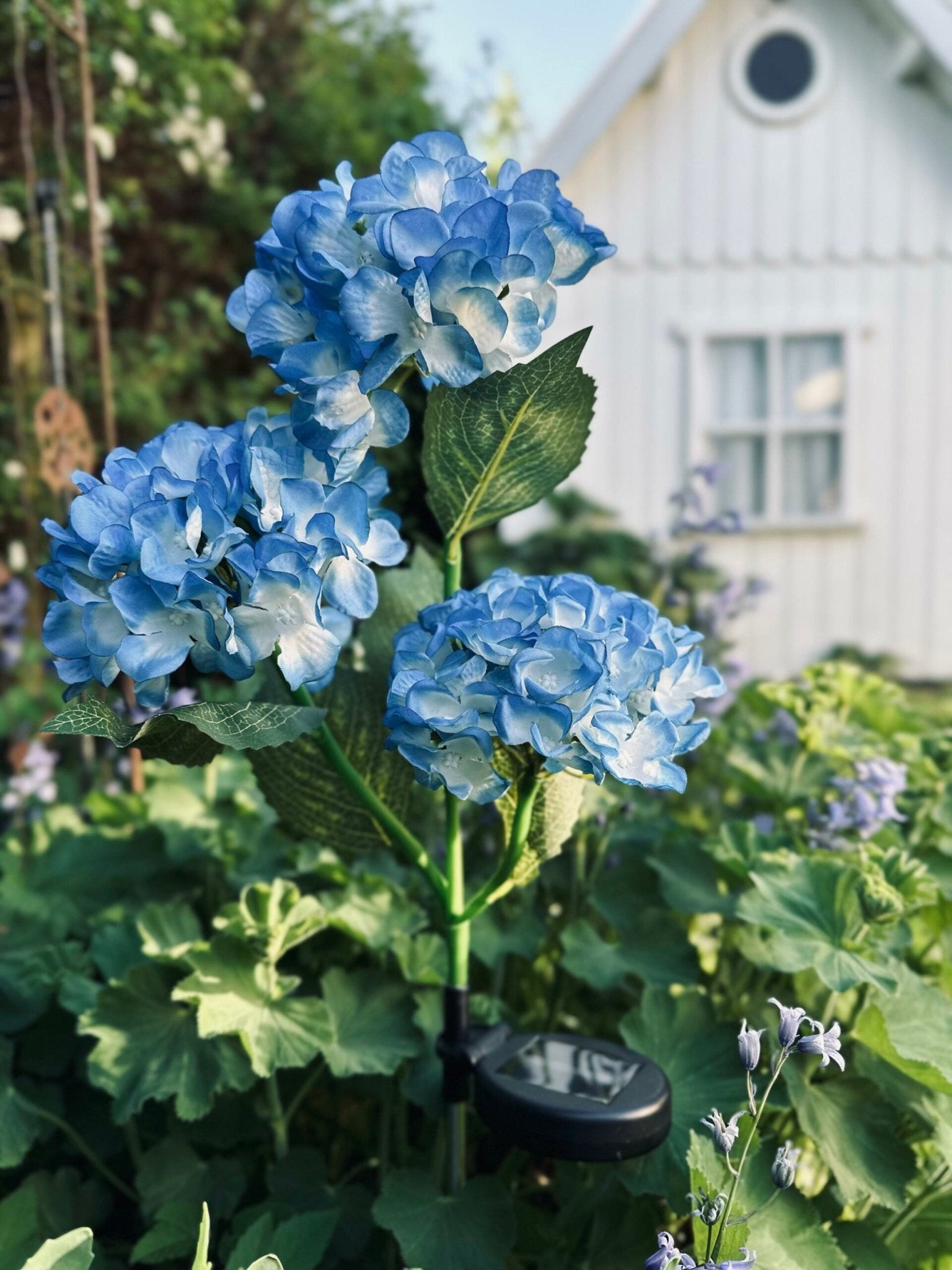 Solar Tuinbloem Hortensia – LED Licht voor buiten