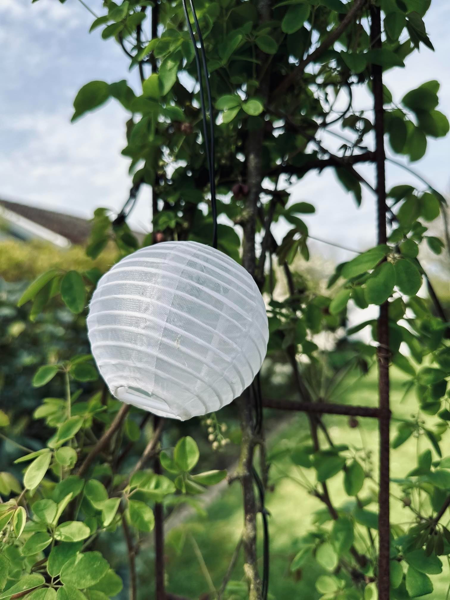 LED Tuinverlichting | Set van 10 stuks | Zonne-energie en Sfeervol