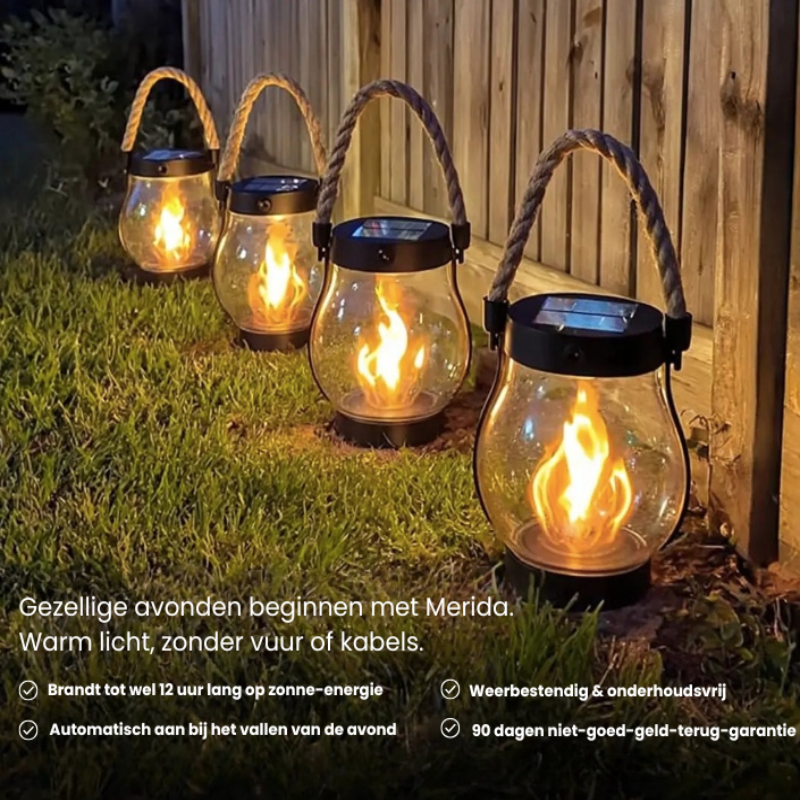 Lumini™ | BLACK FRIDAY SALE | Solar Lantaarn